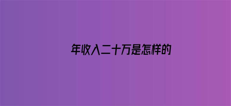 年收入二十万是怎样的水平